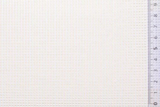 01CANTAP40WHIxxxCOT[CANVAS 40 TAPESTRY(No5)](WHITE)F 560x560